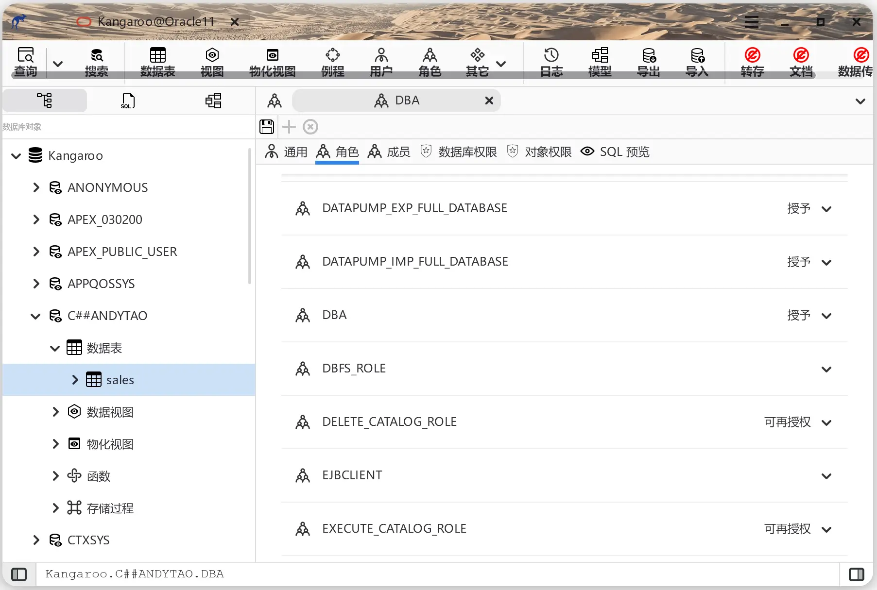 Oracle 11 角色编辑截图