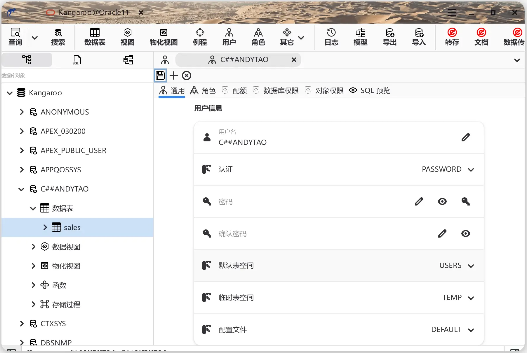 Oracle 11 用户编辑截图