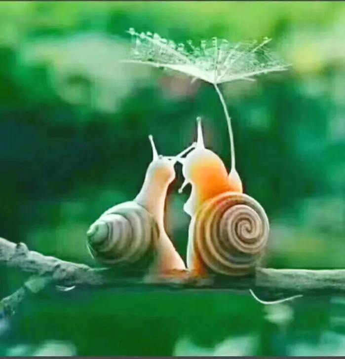 输入图片说明